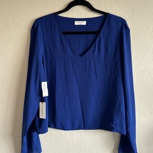 Aritzia Babaton Murphy Blouse